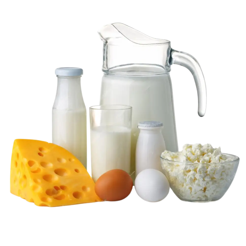  Կաթնամթերք